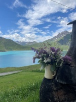 Pourquoi venir à Val Cenis cet été ?